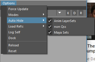 _images/settools_autohide.png